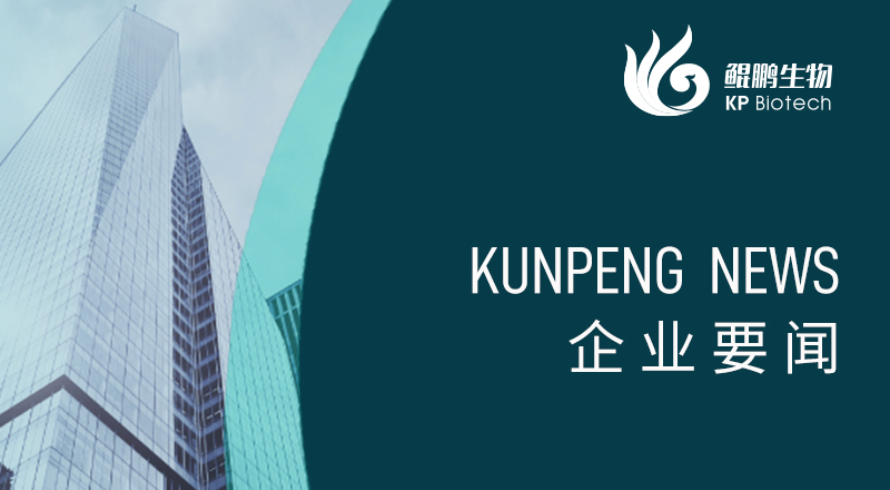 科技引领 &ldquo;兔&rdquo;显创新&mdash;&mdash;宁波三亿荣获&ldquo;高新技术企业&rdquo;及&ldquo;创新型中小企业&rdquo;认定