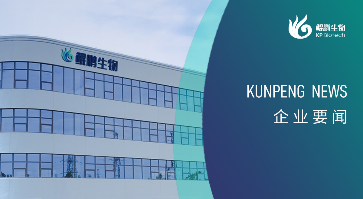 宁波三亿新添两项政府荣誉认定 创新发展再获认可
